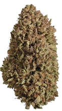 Load image into Gallery viewer, OZ Kush CBD hemp flower with 25.14% reported cannabinoid potency, available at ERTH Dispensary.