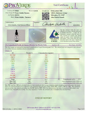 Load image into Gallery viewer, Water Soluble CBD – Nano - ERTH CBD