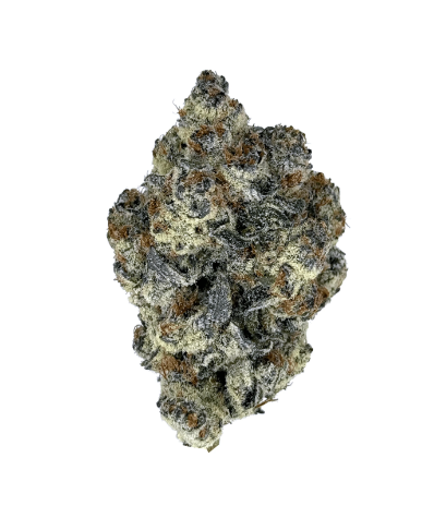 THCA - GLITTER BOMB - 27.39%