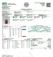 Load image into Gallery viewer, ASHWAGANDHA GUMMIES - ERTH CBD
