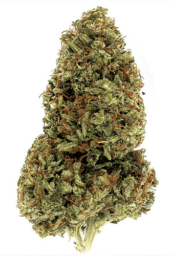 Cake Berry Brulee CBD Flower