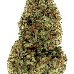 Cake Berry Brulee CBD Flower