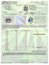 Load image into Gallery viewer, CBD Pain Stick – 250mg - ERTH CBD
