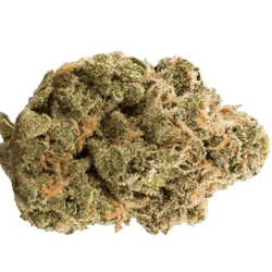 Cindy 99 THCA Flower – Sativa – 33.05% THCA - ERTH CBD