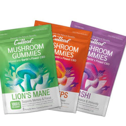 Mushroom CBD Gummies
