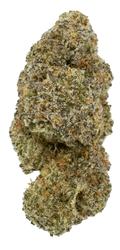 Donny Burger 27.01% | THCA Flower | Hybrid - ERTH CBD