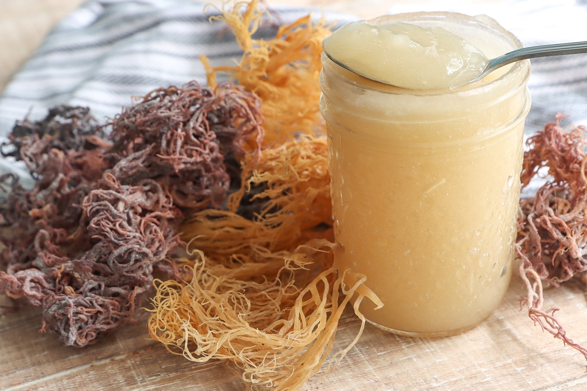 CBD Sea Moss