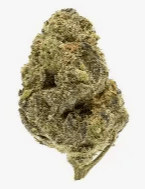 Government Oasis THCA Flower – Hybrid | 33.46% - ERTH CBD