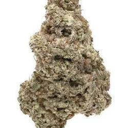 Jungle Driver THCA Flower | Premium Sativa | 26.96% THCA | Exotic Indoor Hemp Flower - ERTH CBD