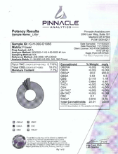 Load image into Gallery viewer, LIFTER - 22% - ERTH CBD
