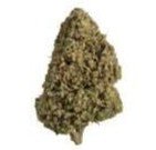 Oregon Sweetgum CBD Flower Hemp – 21.33% CBD – Sativa - Dominant | Sweet Bubblegum & Honey Aroma - ERTH CBD