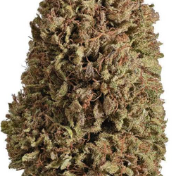 OZ Kush CBD hemp flower with 25.14% reported cannabinoid potency, available at ERTH Dispensary.