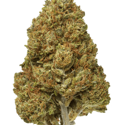 SOUR CHEM - 21% - ERTH CBD