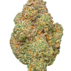 THCA Flower | KEY LIME JACK | 27.34% Uplifting Zesty Lime Aroma - ERTH CBD