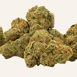 THCA Flower - Street Tartz | Premium Indoor Hybrid | 31.34% - ERTH CBD