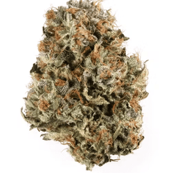Hashburger THCA Flower – Indica strain with savory bacon cheeseburger aroma and 28.62% potency