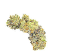 LA Breaker THCA Flower – Sativa | 29.67% Premium Bud