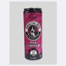 THCA‑Infused Seltzer – 25mg Hemp‑Derived THC | Watermelon & Pink Lemonade (12‑Pack) - ERTH CBD