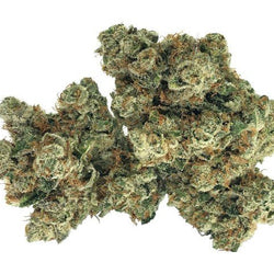 Triple OG THCA Flower – Indica | 34.01% THCA - ERTH CBD